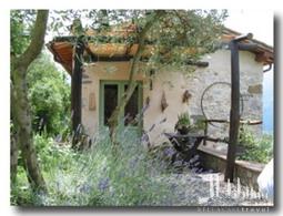 Galeriebild
